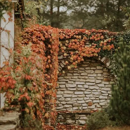 Alojamento de Acomodação e Pequeno-almoço Toscana 3*